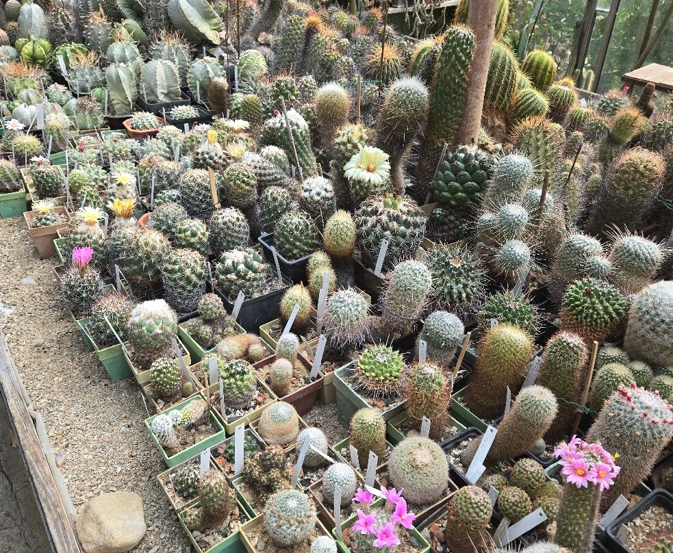 Botanical Garden Serafimovi-Velika必去景点