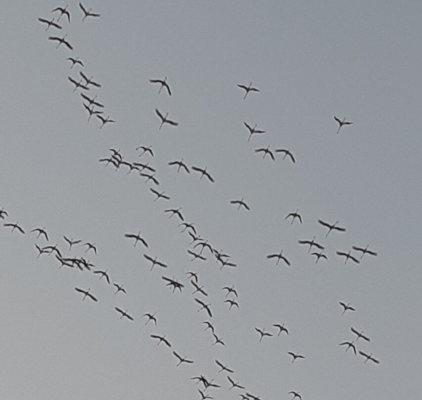 Parco Regionale Veneto del Delta del Po-Porto Tolle必去景点
