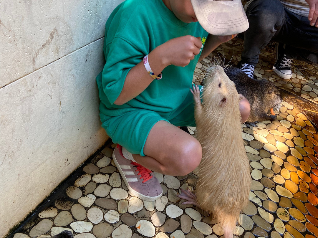 Le Parc Myocastors-Dolus-d'Oleron必去景点