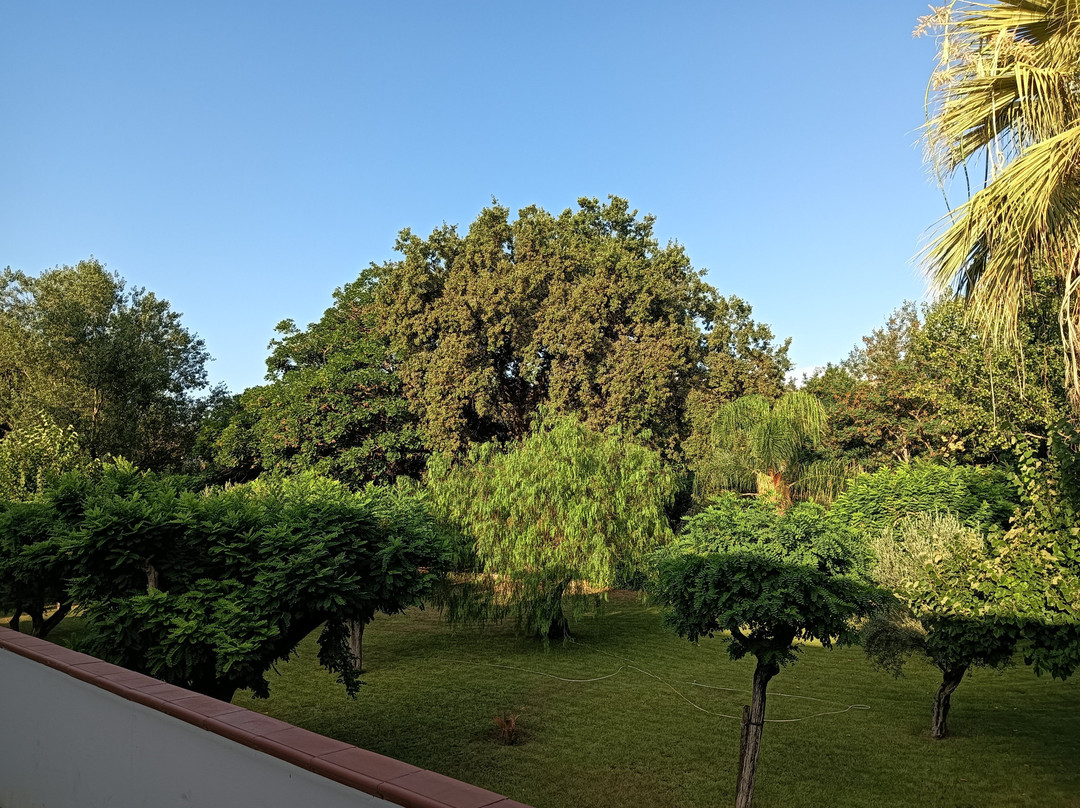 Hotel Club Green Garden主图