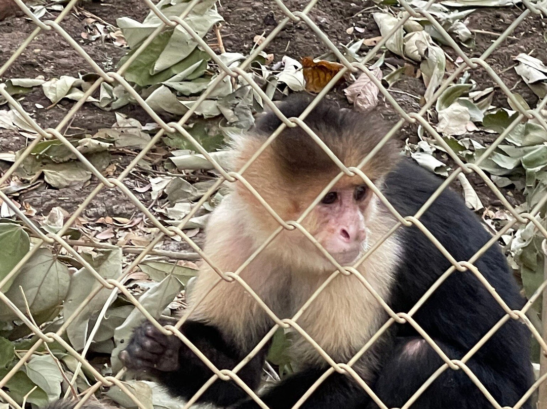 Centro de Rescate Las Pumas-Canas必去景点