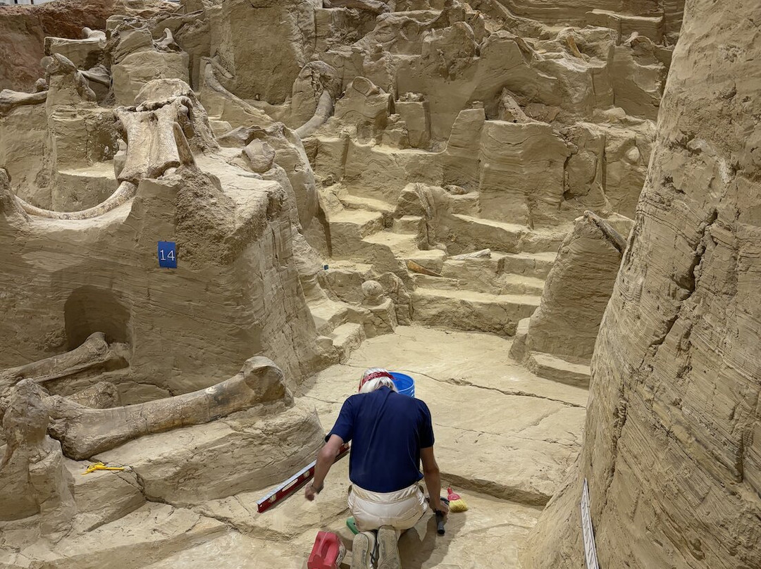 The Mammoth Site of Hot Springs-温泉城必去景点