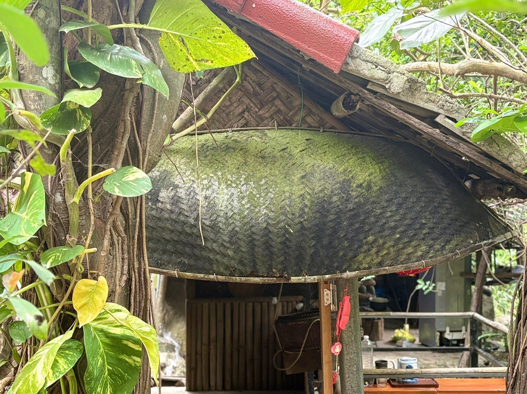 Dong Dinh Museum-Son Tra Peninsula必去景点