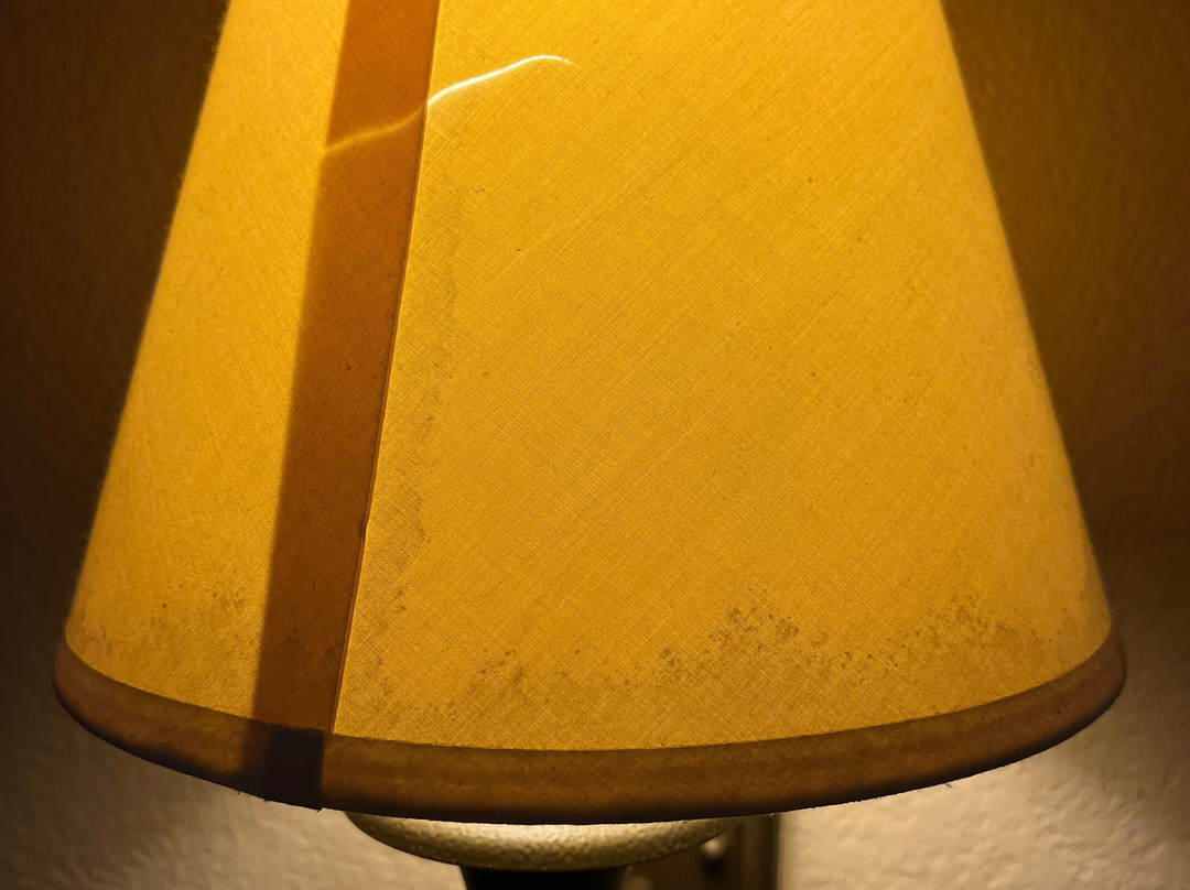 Super 8 by Wyndham Rolla主图