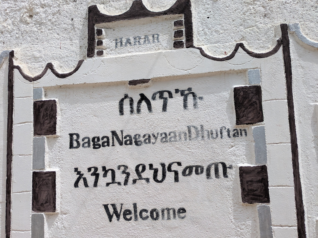 Bini Harar Tours-哈勒尔必去景点