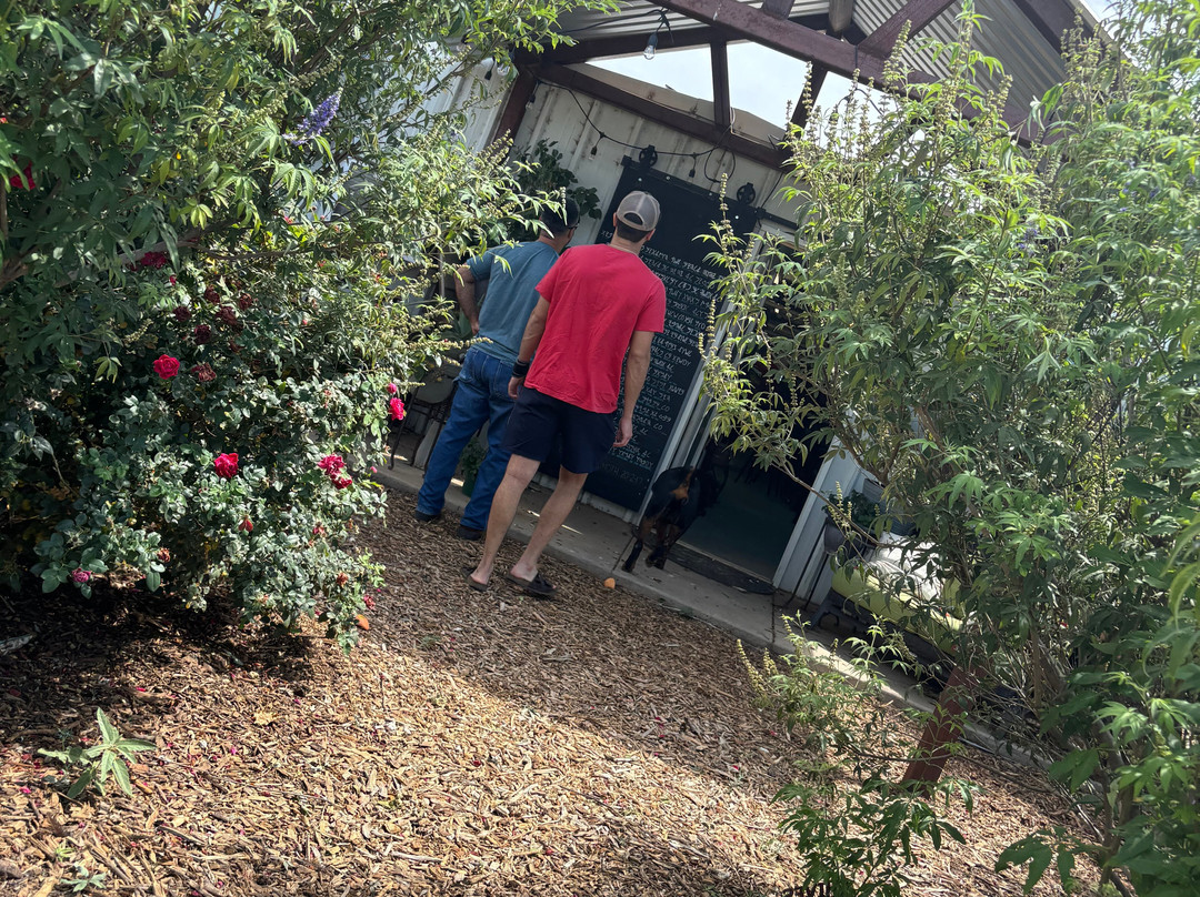 My Joshua Farm-拉伯克县必去景点