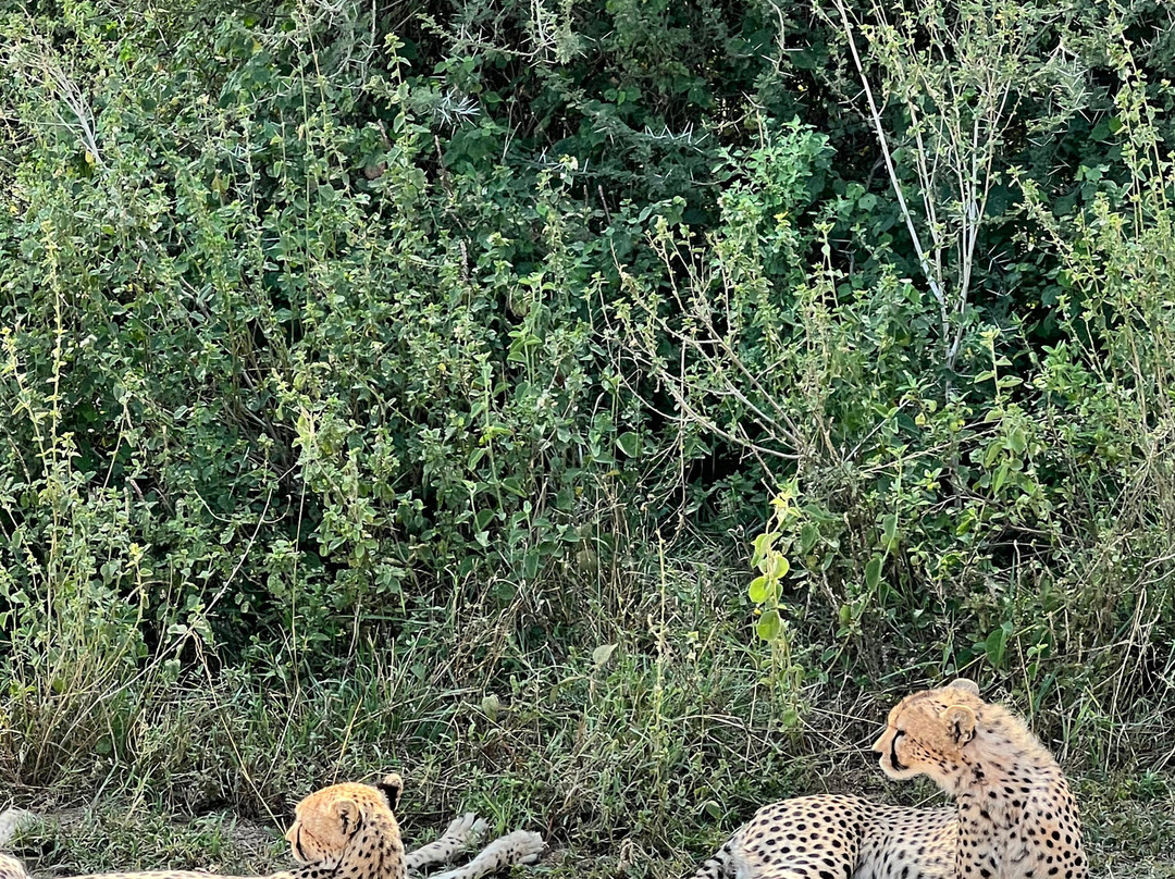 B2 Travel Group-纽约市必去景点