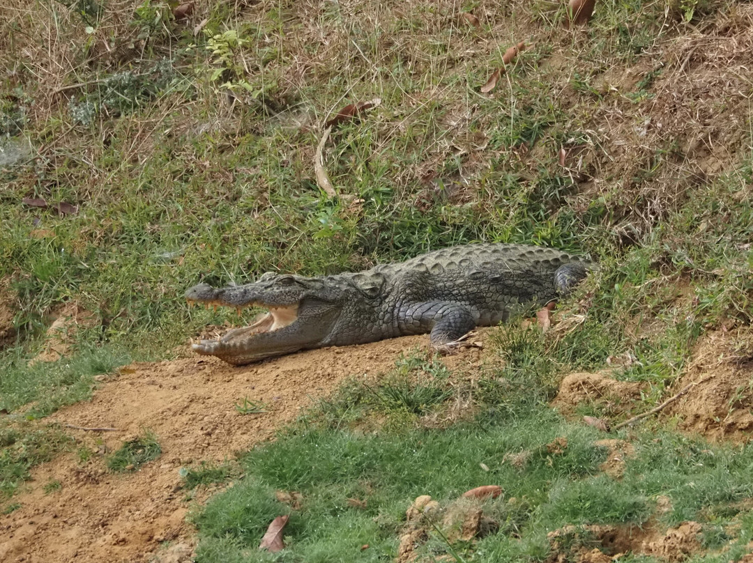 Ayu SL Tours-Piliyandala必去景点