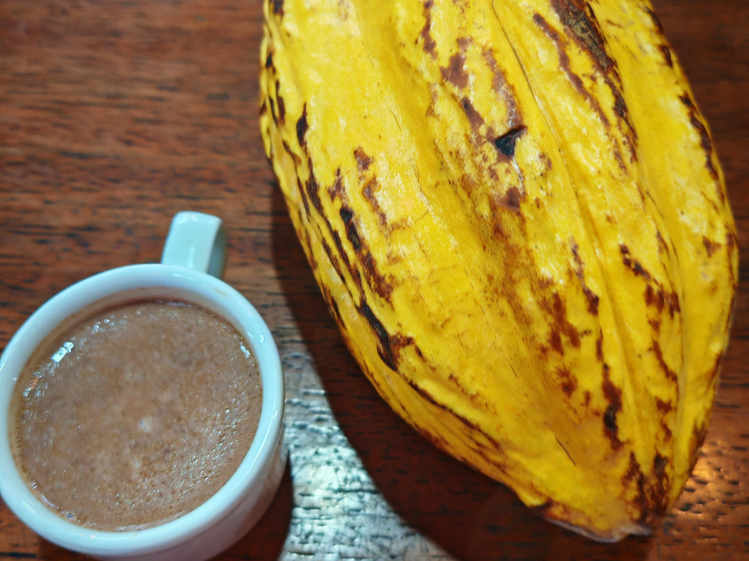 Yumbos Chocolate-明多必去景点