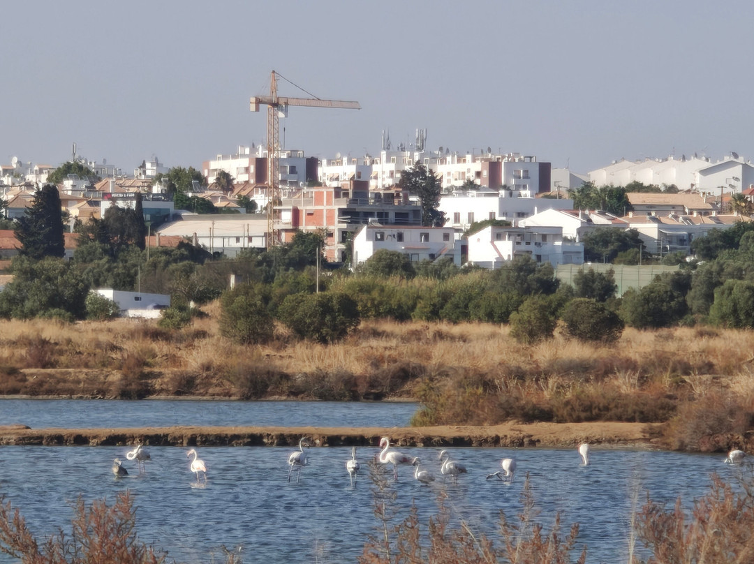 Passeios Ria Formosa-Fuseta必去景点