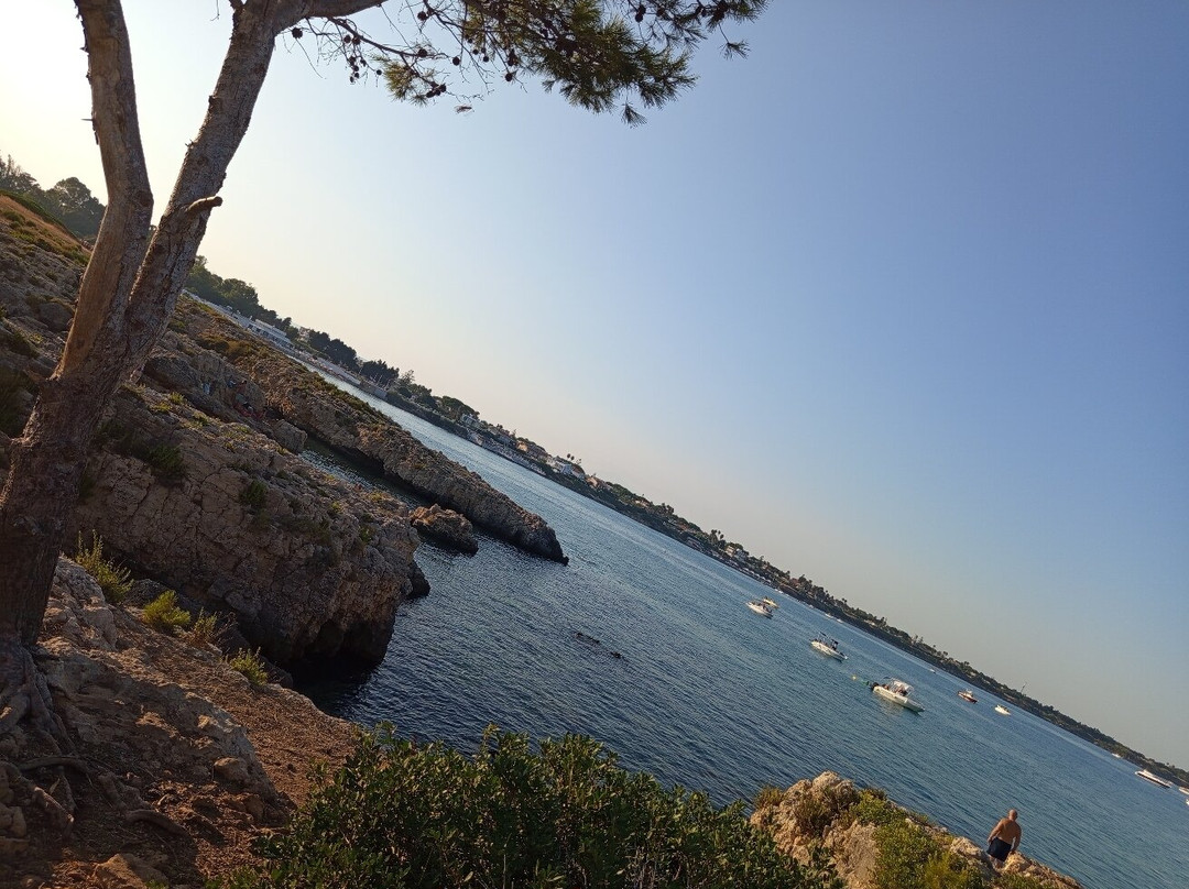 Spiaggia di Arenella-Arenella必去景点