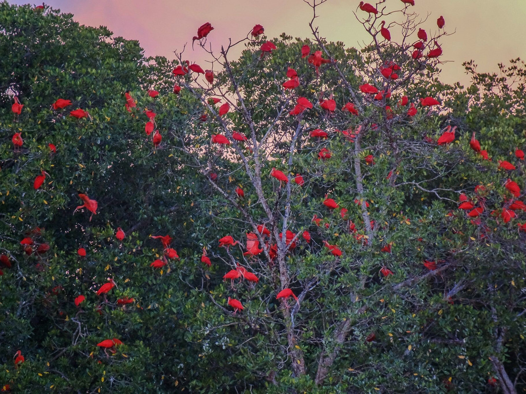 Casa De Santo Antônio Hotel Boutique主图