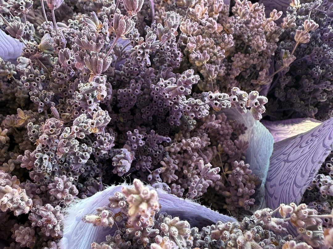 Alpha Lavender-Mesimeri必去景点