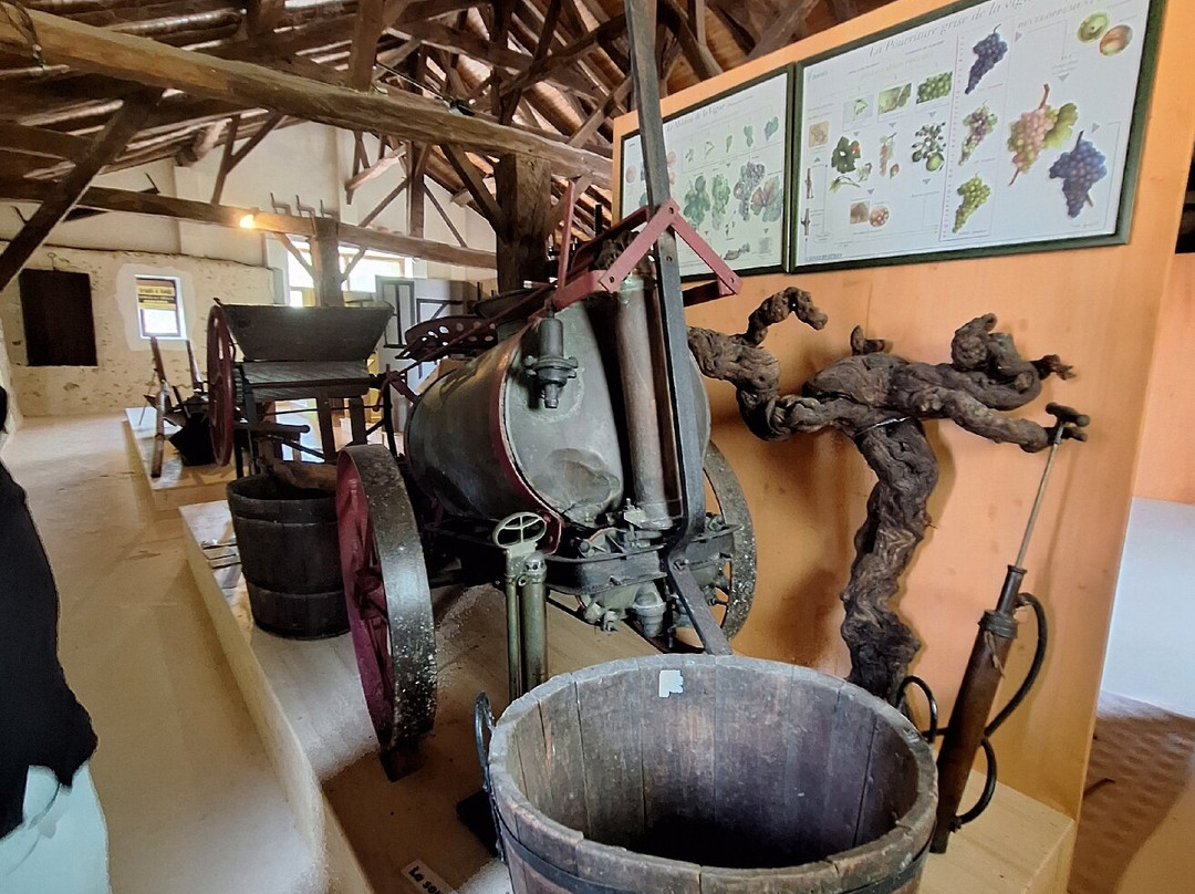 Ecomusée de l'Armagnac au Château Garreau-Labastide-d'Armagnac必去景点