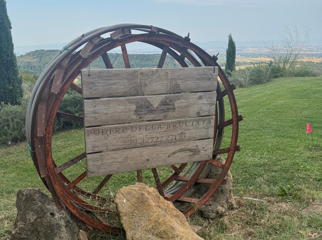 Podere Della Bruciata Winery-蒙特普尔恰诺必去景点