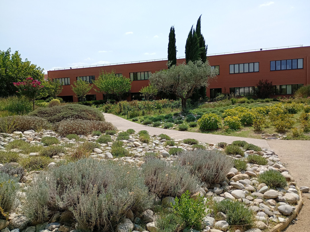 L'Occitane en Provence-马诺斯克必去景点