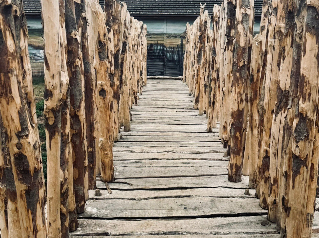 Flag Fen-彼得伯勒必去景点
