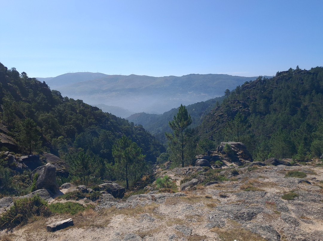 Residencial Verde Pinho主图