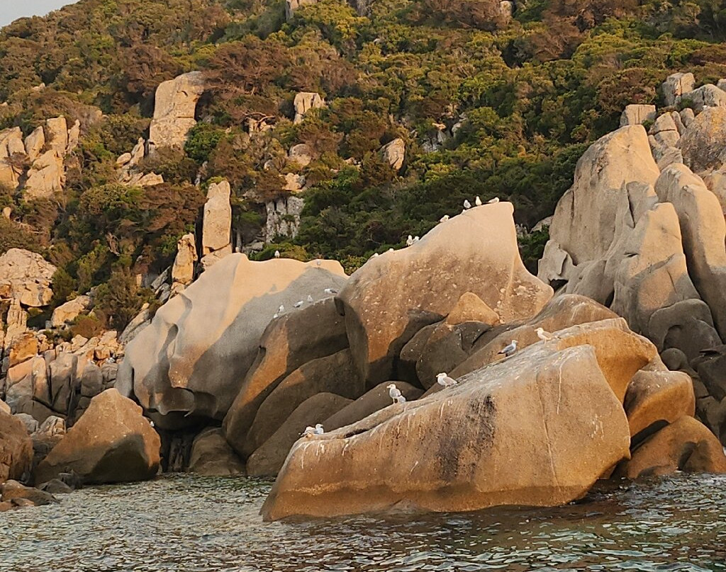 Cmpv Propriano-Propriano必去景点