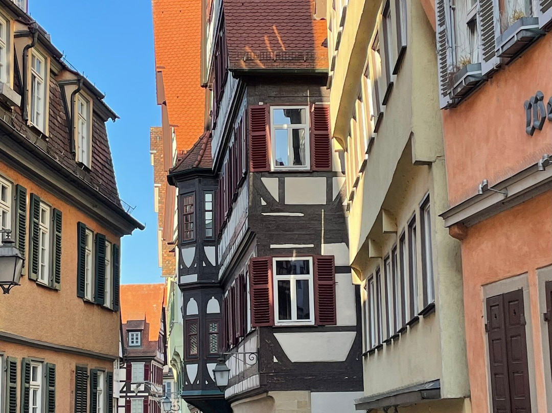 Domizil Tubingen主图