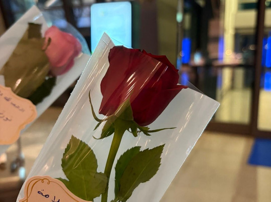 Halla Salalah travel and tours-塞拉莱必去景点