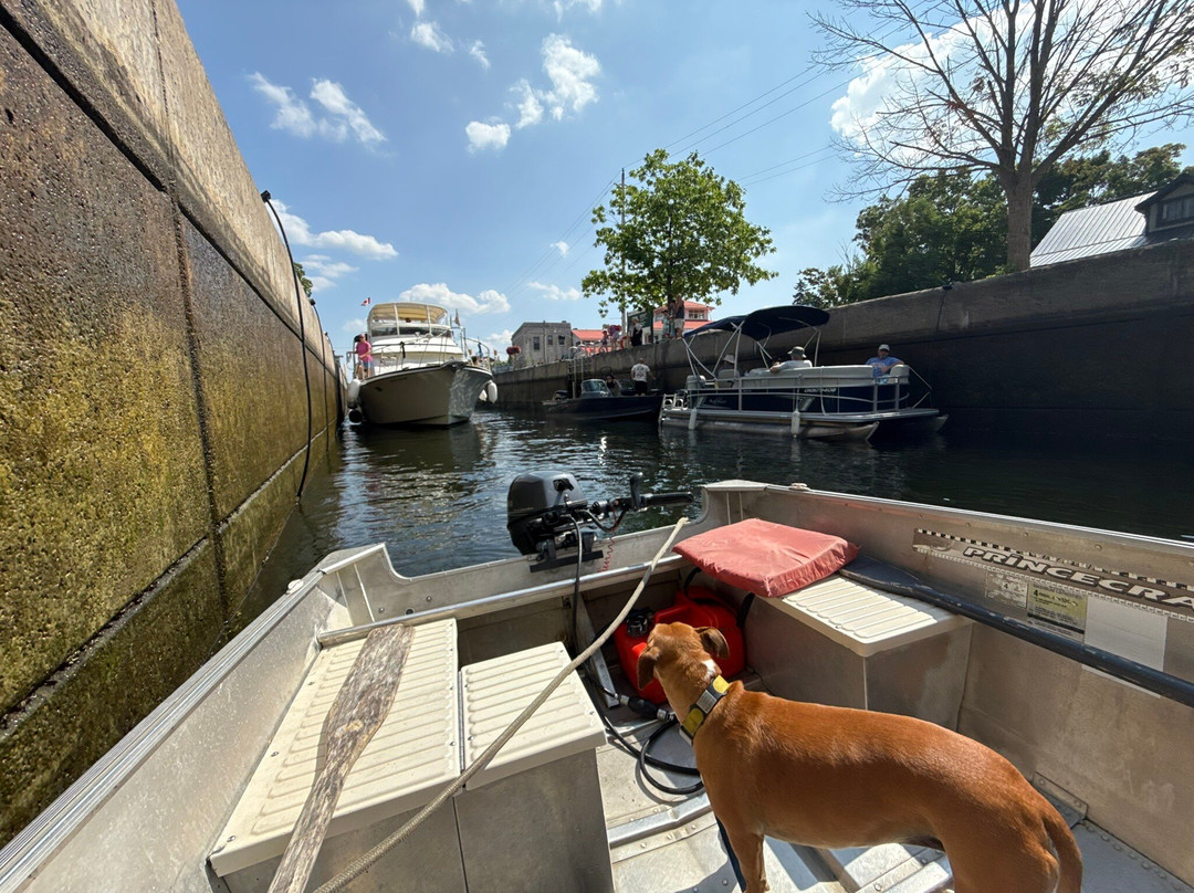 Buckeye Rentals Ltd.-博布凯真必去景点