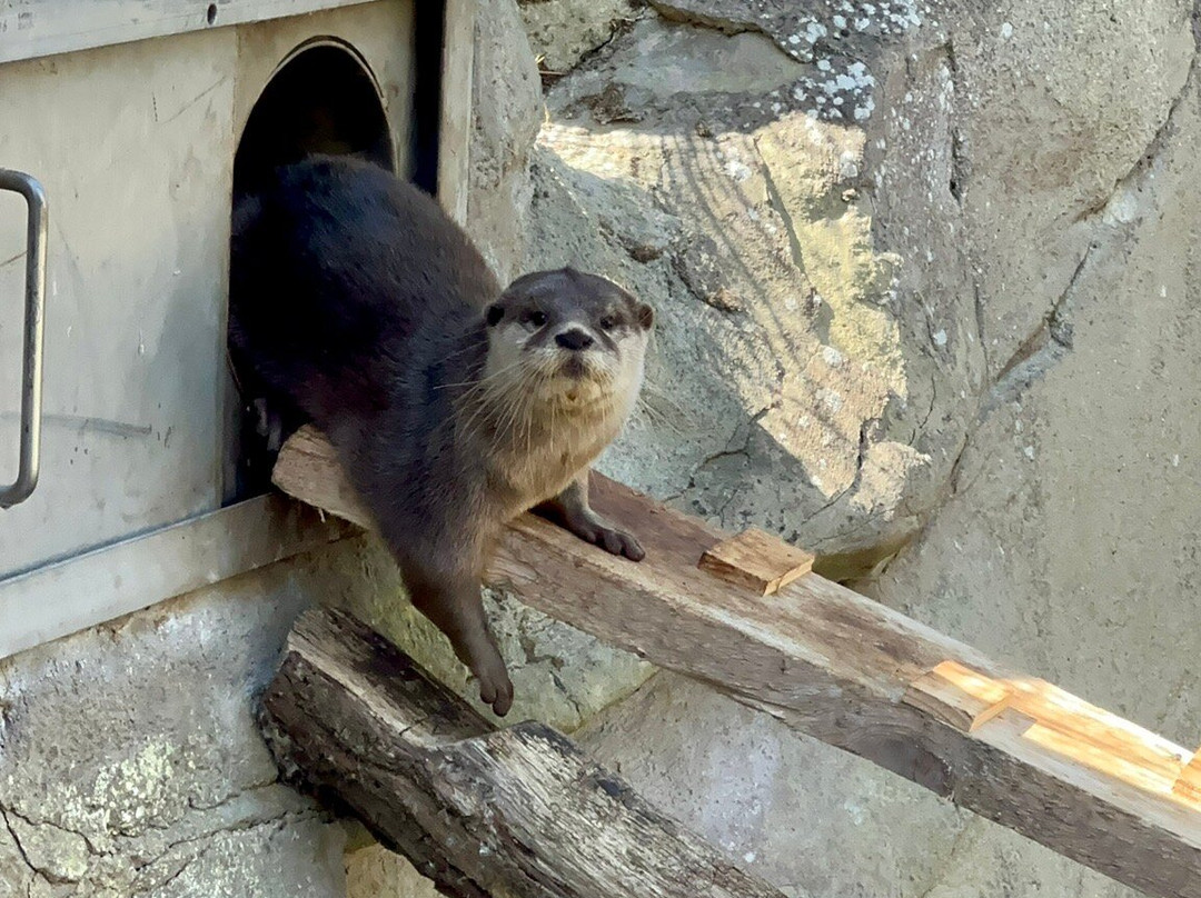 Zoo am Meer-不来梅港必去景点
