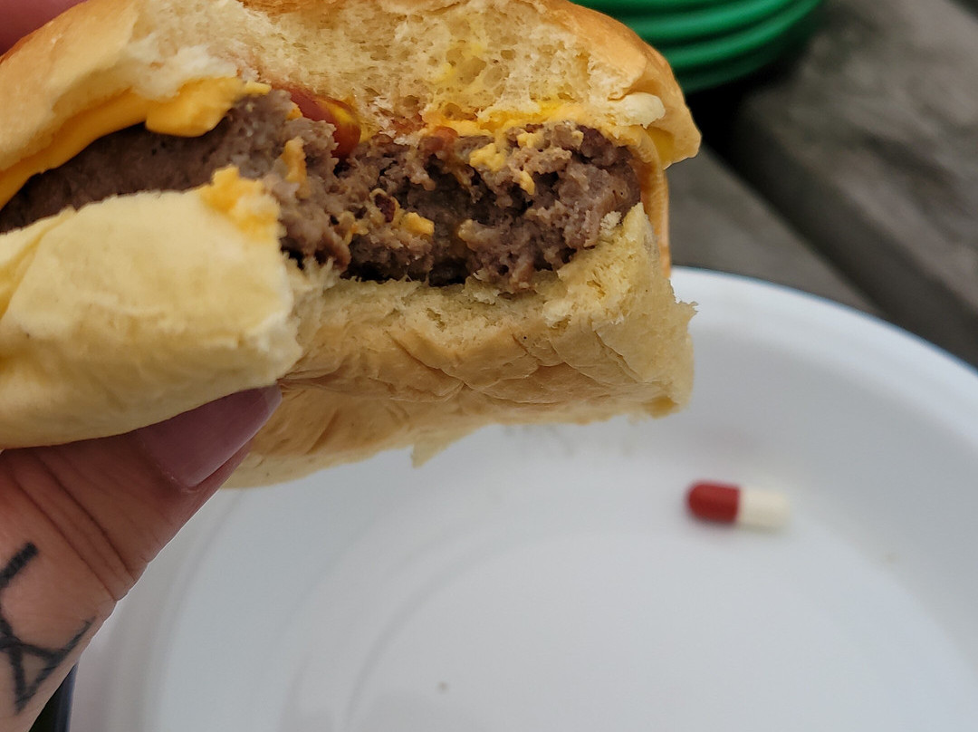 Glamping At Wallops Wood主图