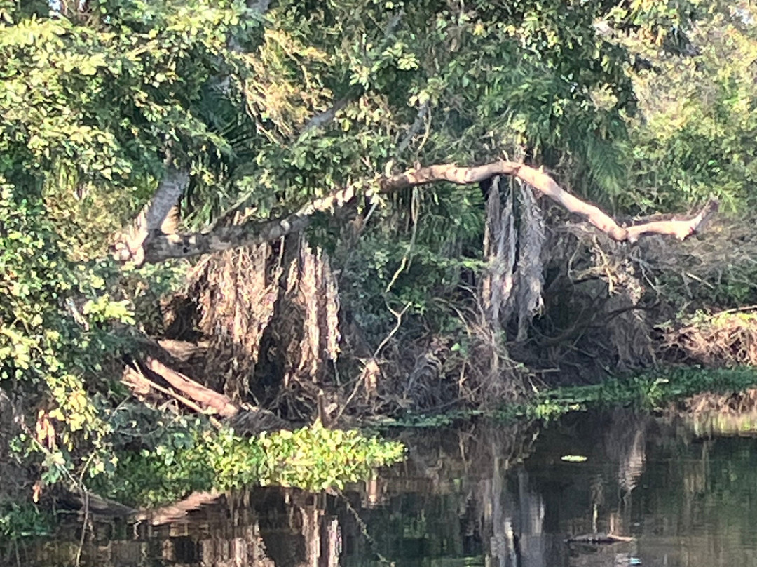 Buriti Viagens-Aquidauana必去景点