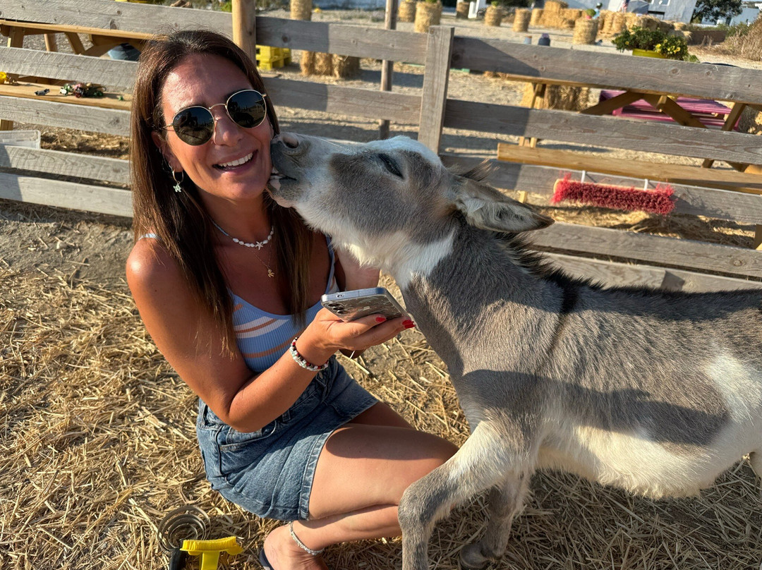 Donkey Farm Milos-Adamas必去景点