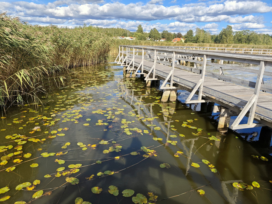 Hamre Våtmark
