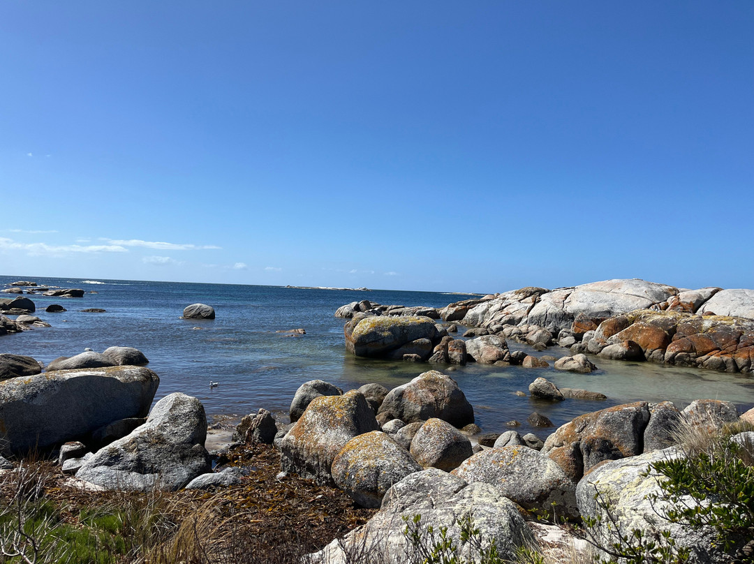 The Gardens-Binalong Bay必去景点
