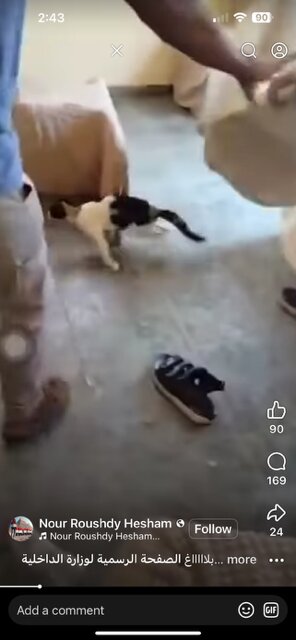 Siwa Shali Resort-官方