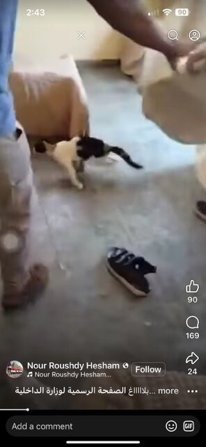 Siwa Shali Resort主图