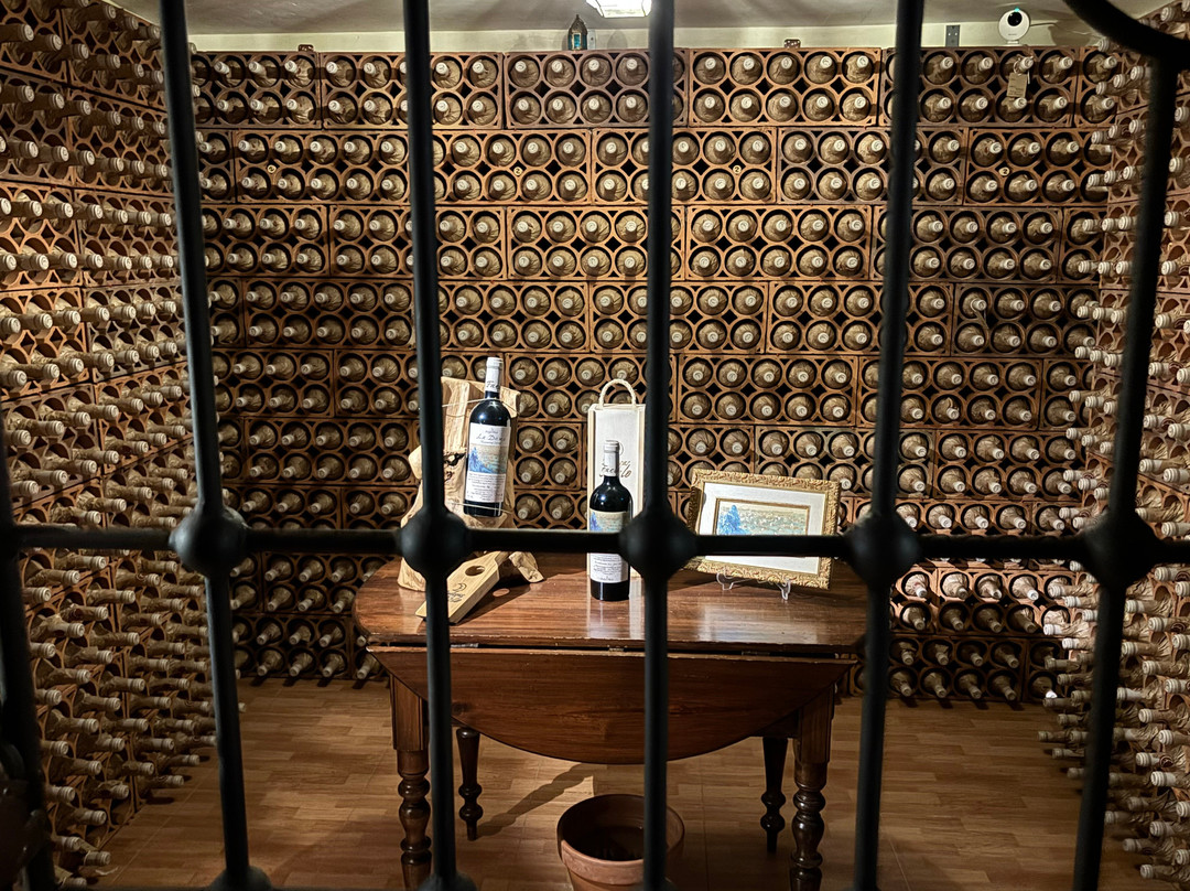 Bodegas Faelo-埃尔切必去景点