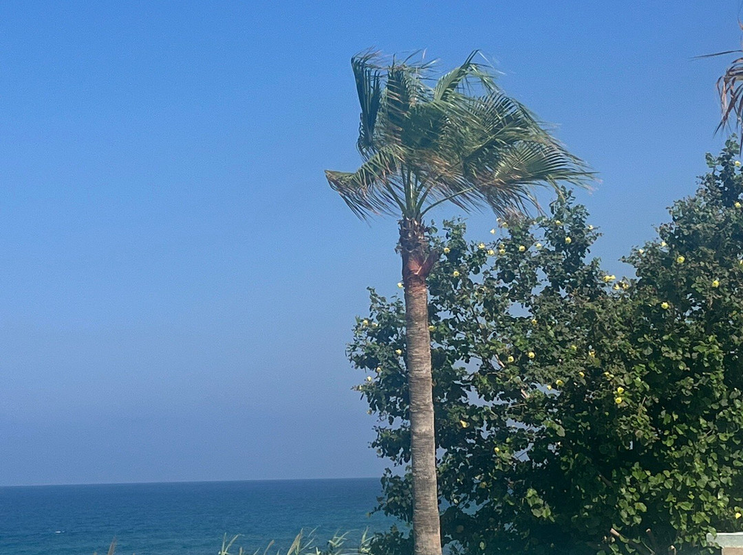 LAZY B BEACH CLUB-Jiyeh必去景点