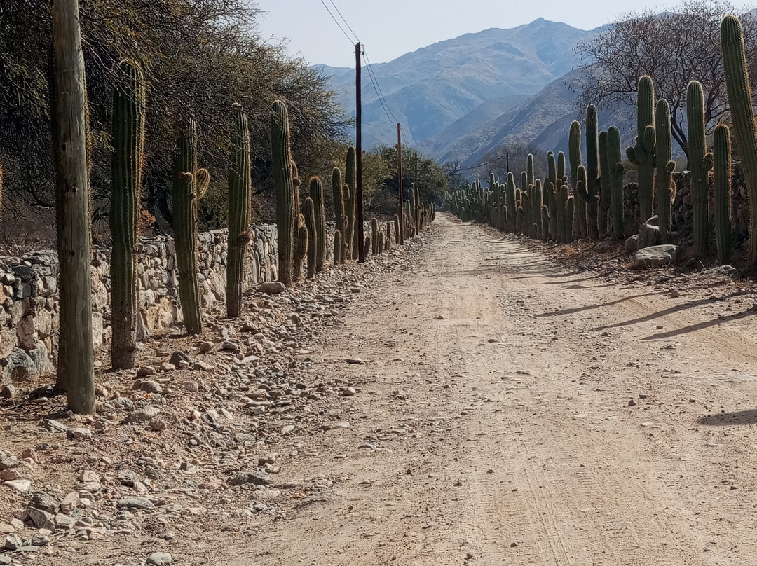 Bodega San Pedro de Yacochuya-卡法亚特必去景点