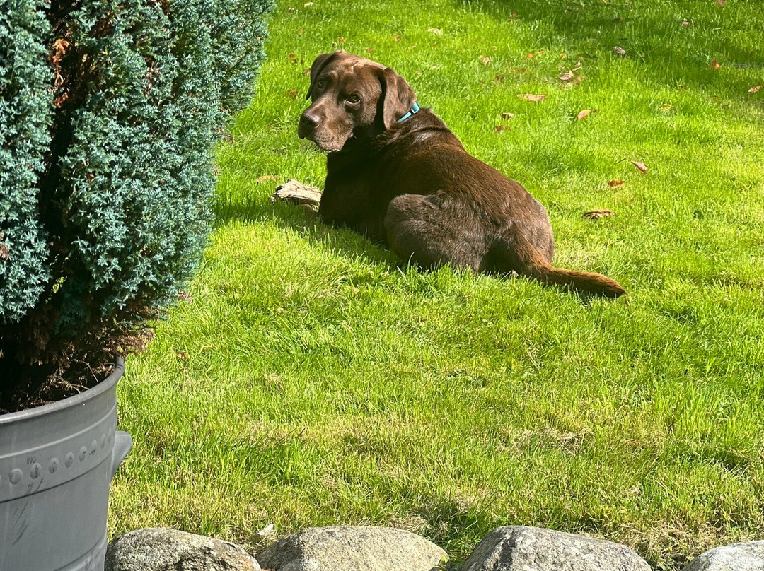 The Langstrath Country Inn主图