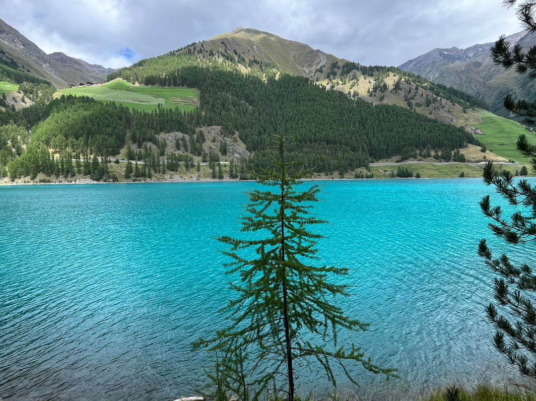 Lago di Vernago-Vernago必去景点