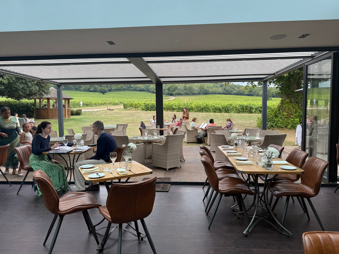 Denbies Vineyard Hotel主图