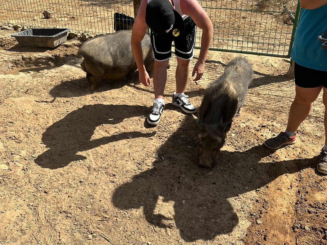 Quinta Fotoplanet Farm-阿尔布赞拉必去景点