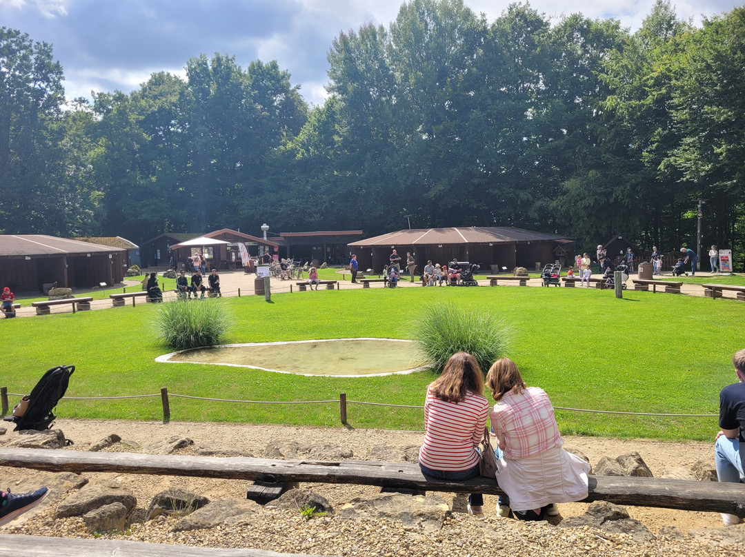 Hotel am Zoo GmbH & CO. KG主图