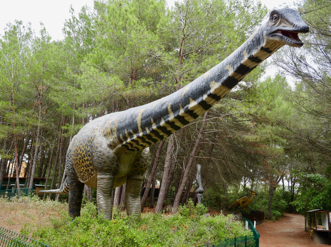 Musee - Parc des Dinosaures-Meze必去景点