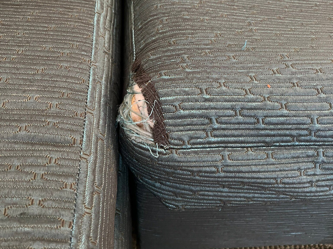 SpringHill Suites by Marriott Scranton Montage Mountain主图