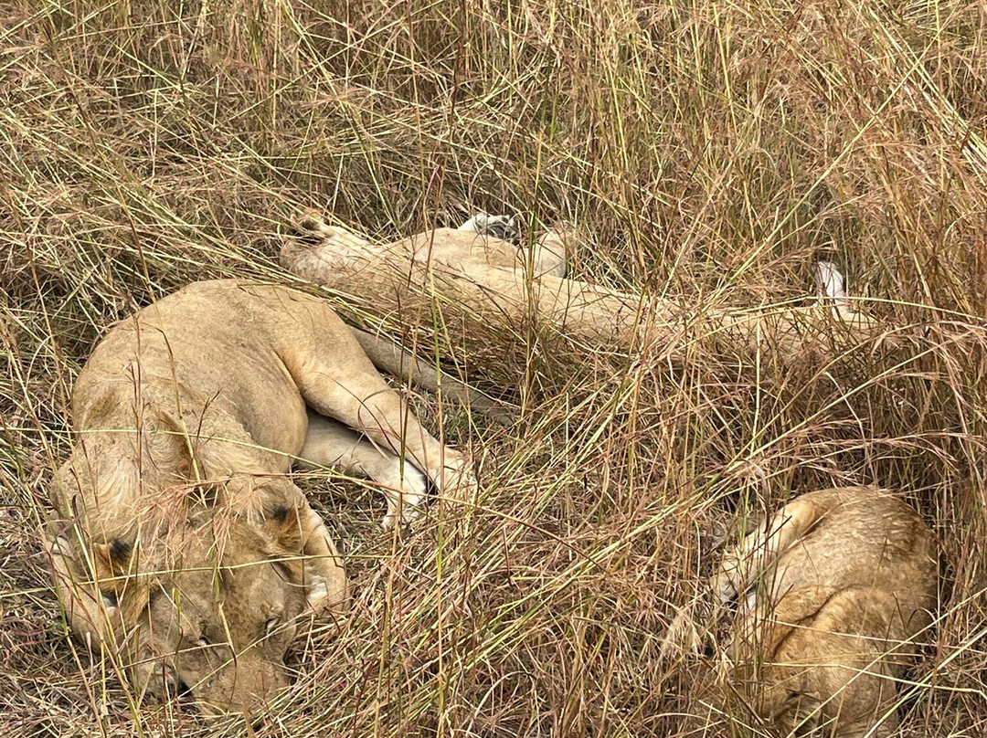 Fabio Zanzibar Tour-石头城必去景点
