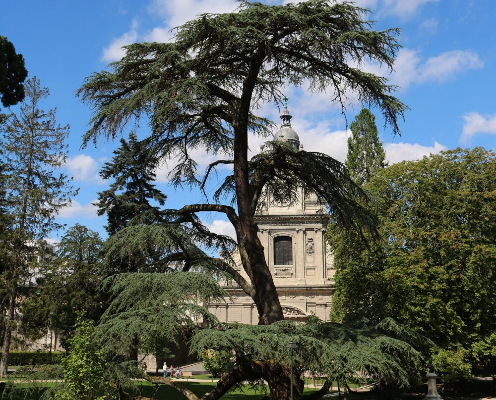 Place du Chateau-布洛瓦必去景点
