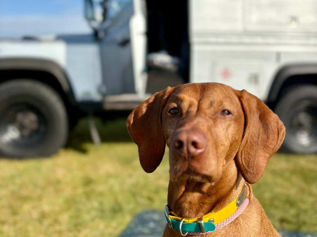 Defender Campers-West Buckland必去景点