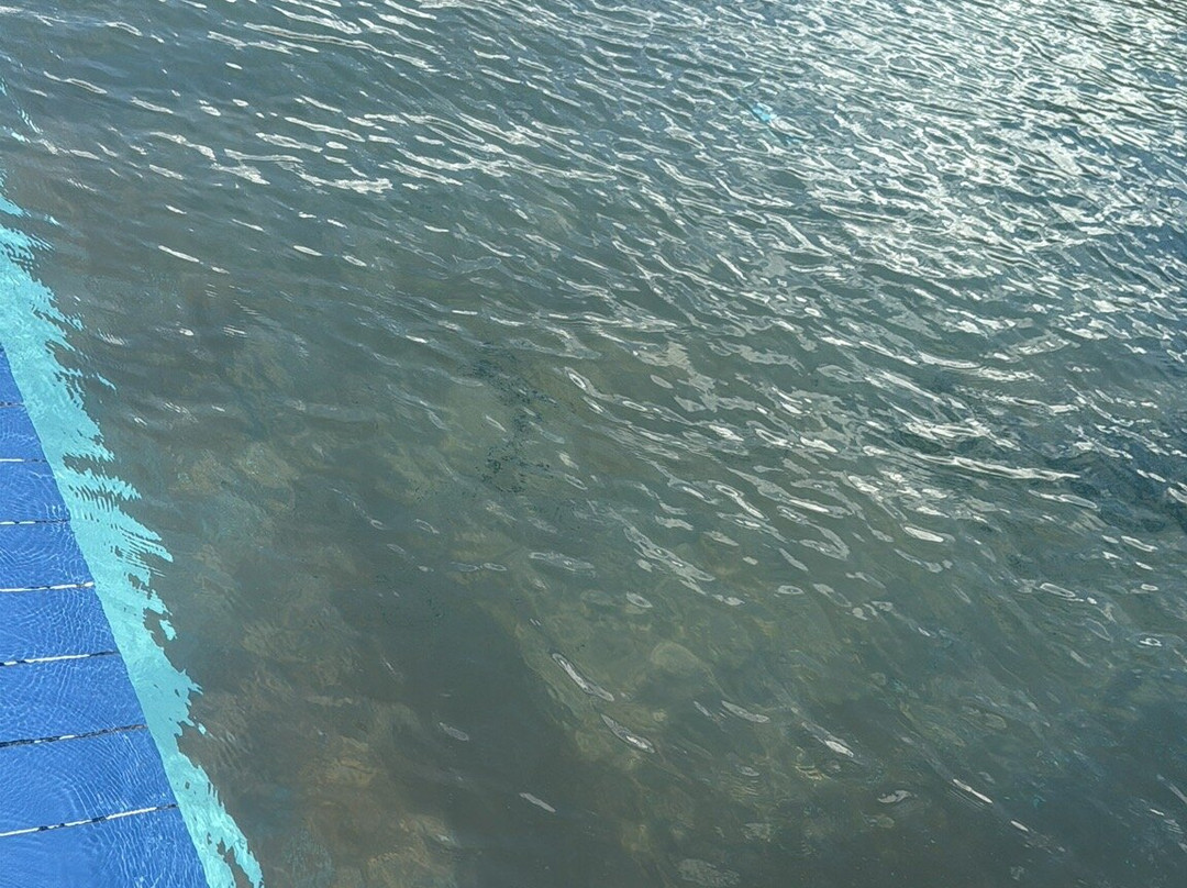 Club Arianna Hotel Residence主图