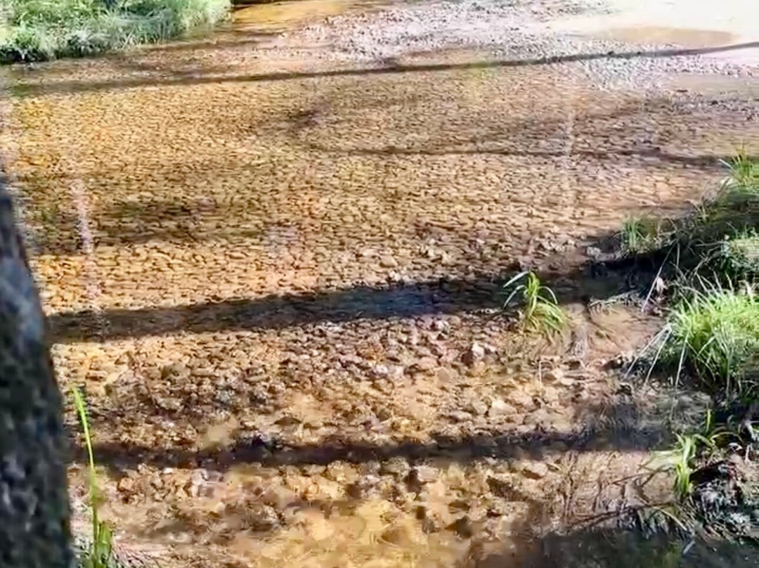 Blackwater Joe's-Holt必去景点