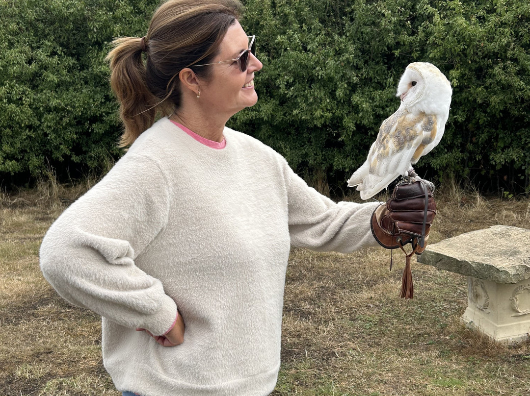 Feathers and Fur Falconry Centre-布拉克内尔必去景点